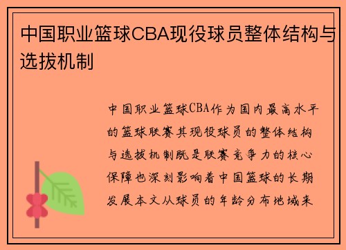 中国职业篮球CBA现役球员整体结构与选拔机制